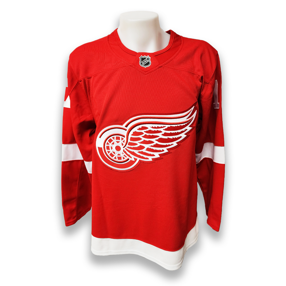 Brett Hull Autographed Detroit Red Wings Home Fanatics Premium Jersey