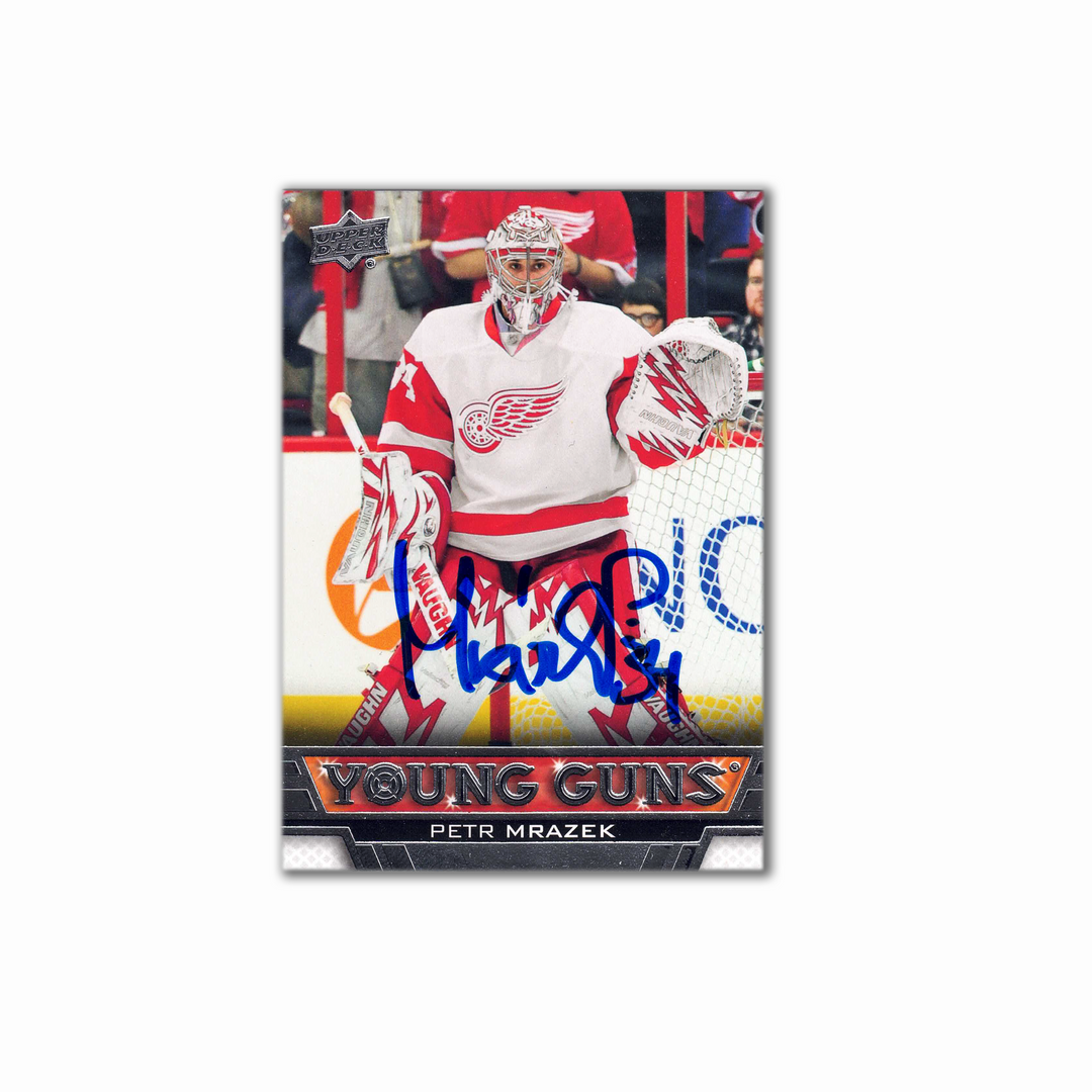 2013-14 UD Young Guns 