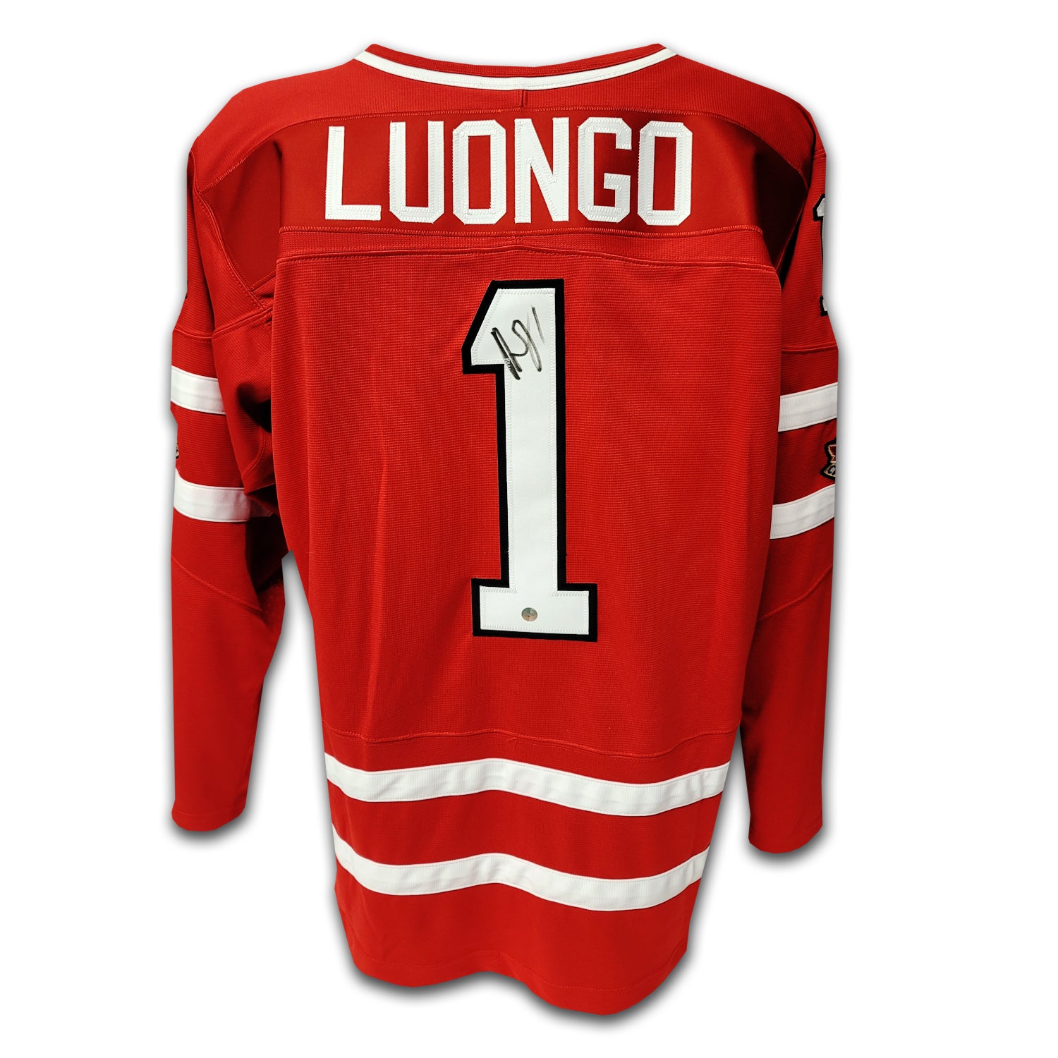 Roberto luongo jersey clearance